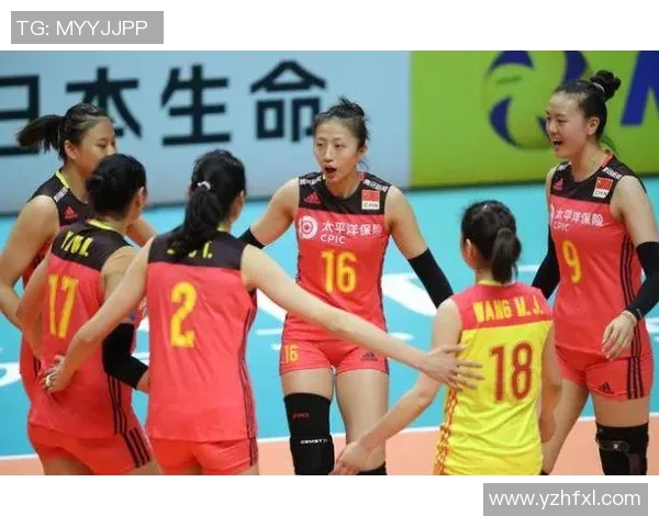 广州排球队灵活性对比分析揭示战术优势与发展潜力